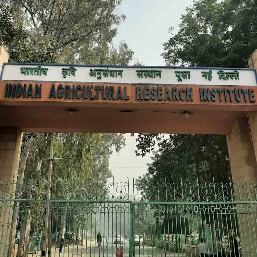 Indian Agricultural Research Institute.
