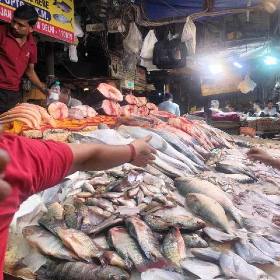 Politicians are vocal as BJP targets Bengali fish bowl in CR Park