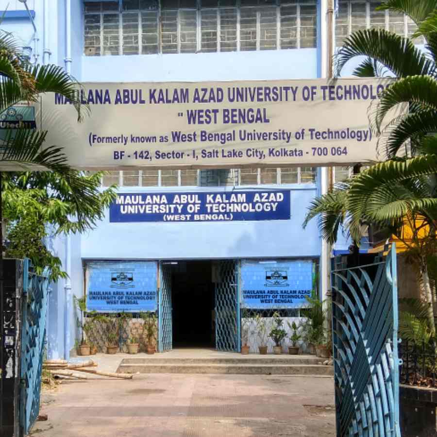 ম্যাকাউট।