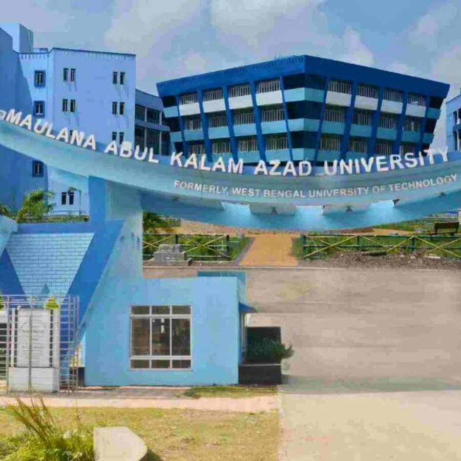 ম্যাকাউট।