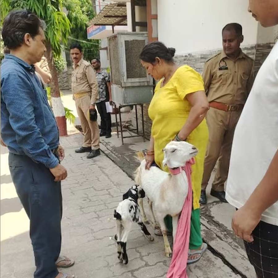 ছাগল নিয়ে বিবাদ উত্তরপ্রদেশে।
