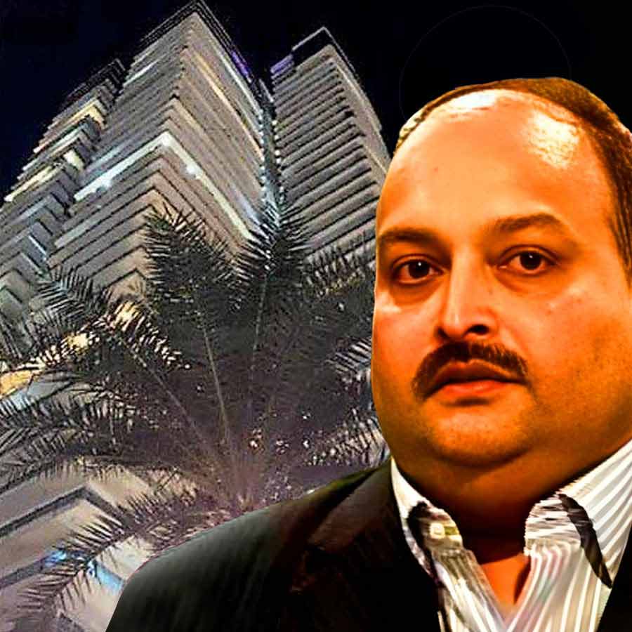 Maintenance of around Rs 63 Lakh due for flats of Mehul Choksi, claims housing society member dgtl