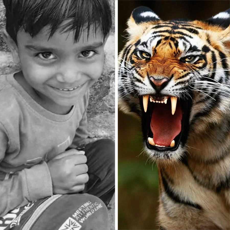 বাঘে টেনে নিয়ে যাওয়ার আগে মন্দিরে কার্তিক সুমন।