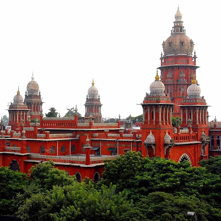 ১৮৭৭ সালে কলেজ পাশ করে দু’বছর পর মাদ্রাজের একটি কলেজ থেকে আইন নিয়ে পড়াশোনা করে ডিগ্রি অর্জন করেছিলেন শঙ্করন। ১৮৮০ সাল থেকে মাদ্রাজের হাই কোর্টে আইনজীবী হিসাবে কাজ করা শুরু করেছিলেন তিনি।