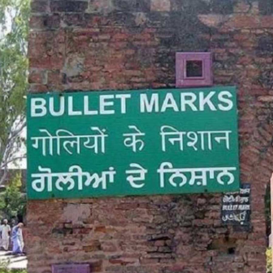 ১৯২২ সালে ‘গান্ধী অ্যান্ড অ্যানার্কি’ নামের একটি বই লিখেছিলেন শঙ্করন। সেই বইয়ে ব্রিটিশ সরকারের তীব্র নিন্দা করেছিলেন তিনি। মাইকেল ও’ডায়ারকে সরাসরি অভিযুক্ত হিসাবে দাগিয়ে দিয়েছিলেন তিনি। 