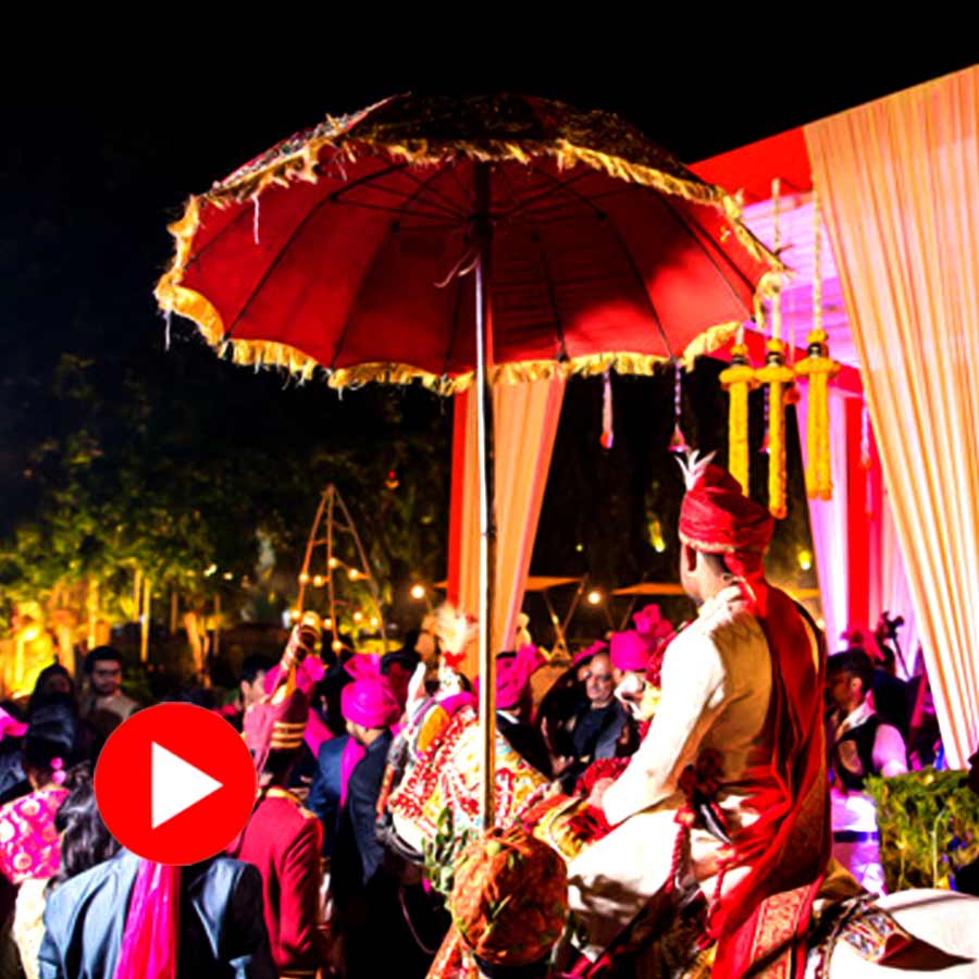 A groom was manhandled