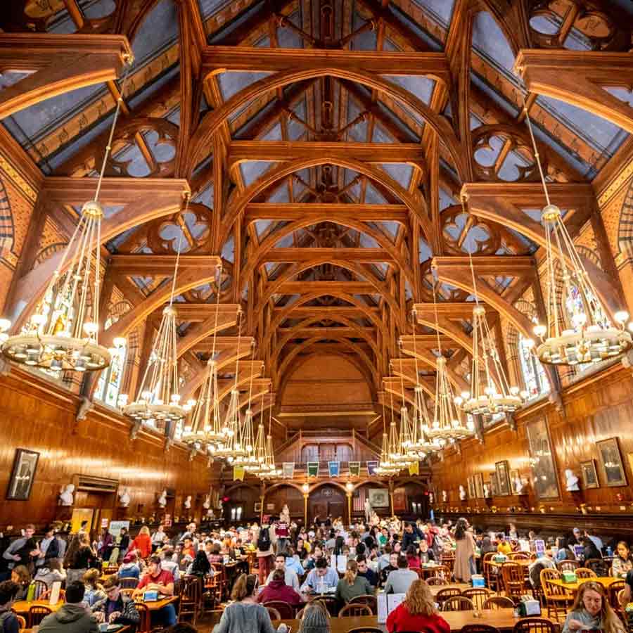 harvard university