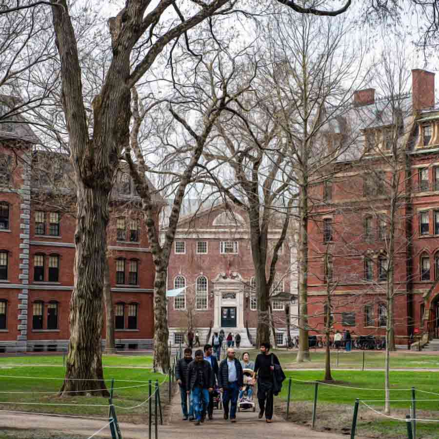 harvard university