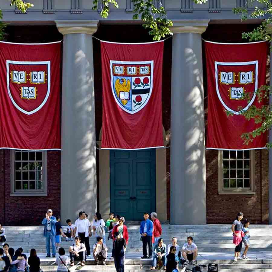 harvard university