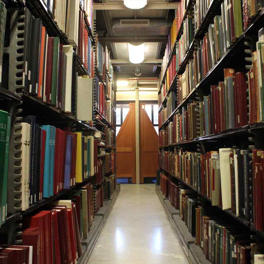 harvard university