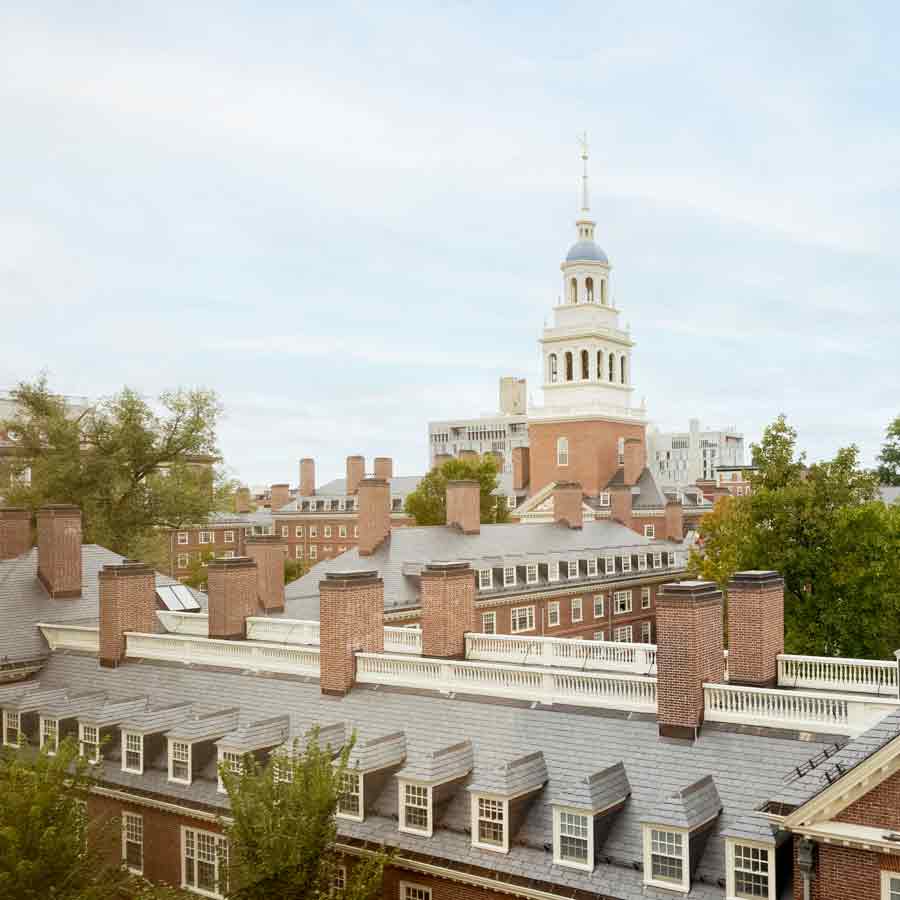 harvard university