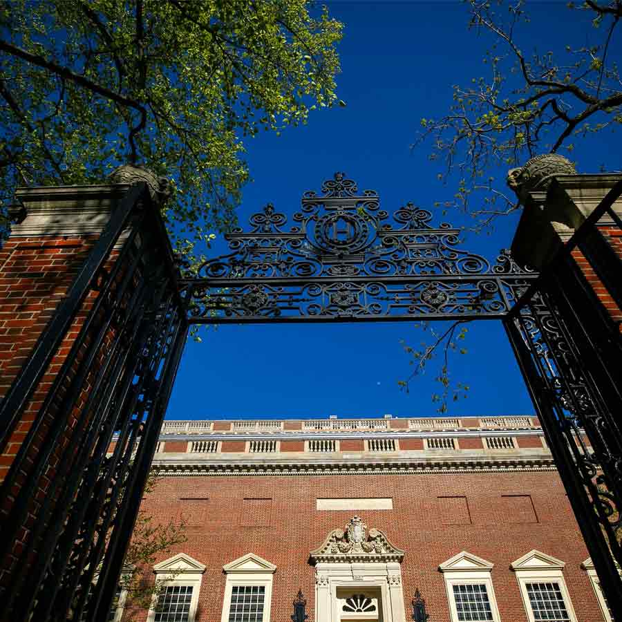 harvard university