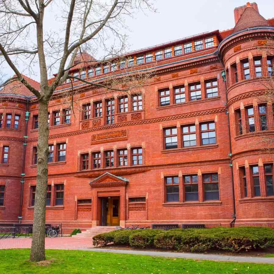 harvard university