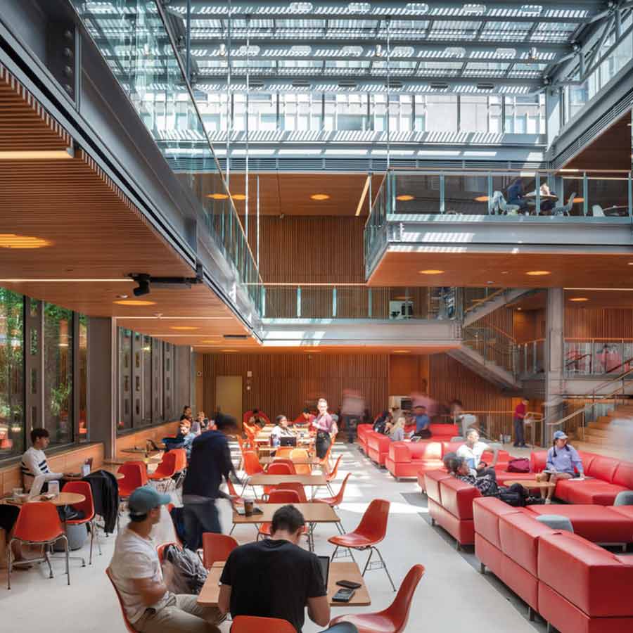 harvard university