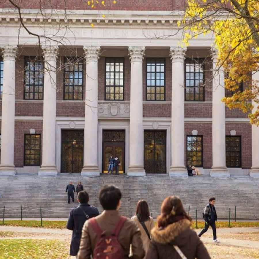 harvard university