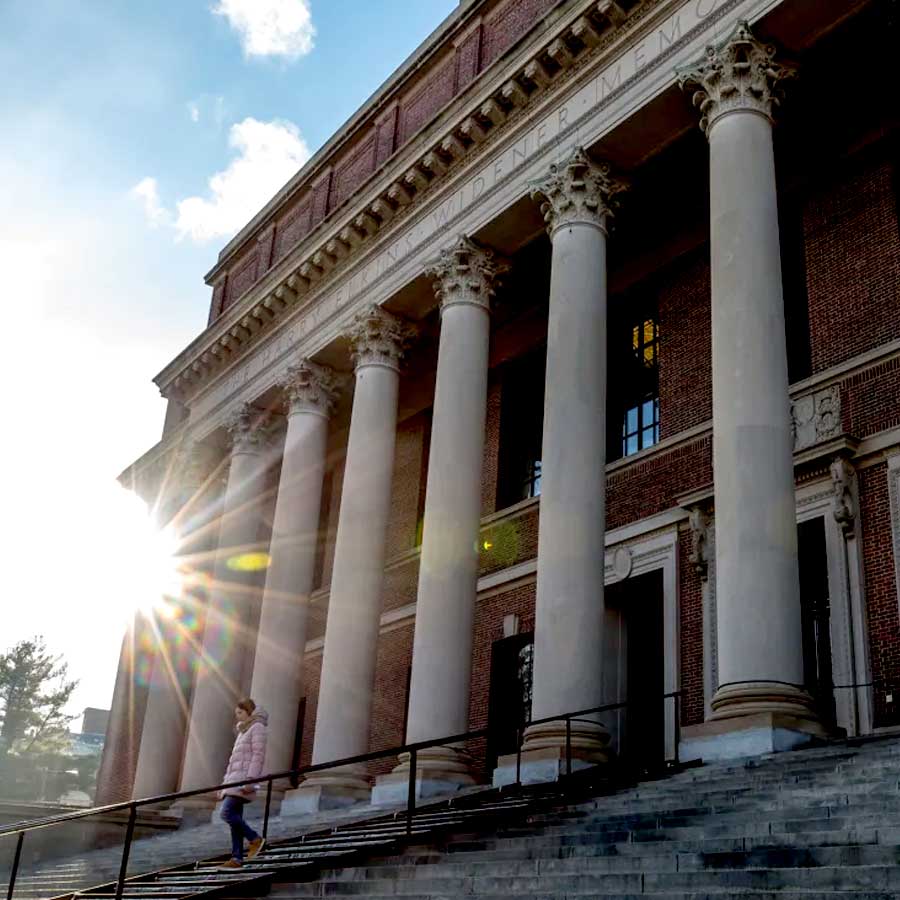 harvard university
