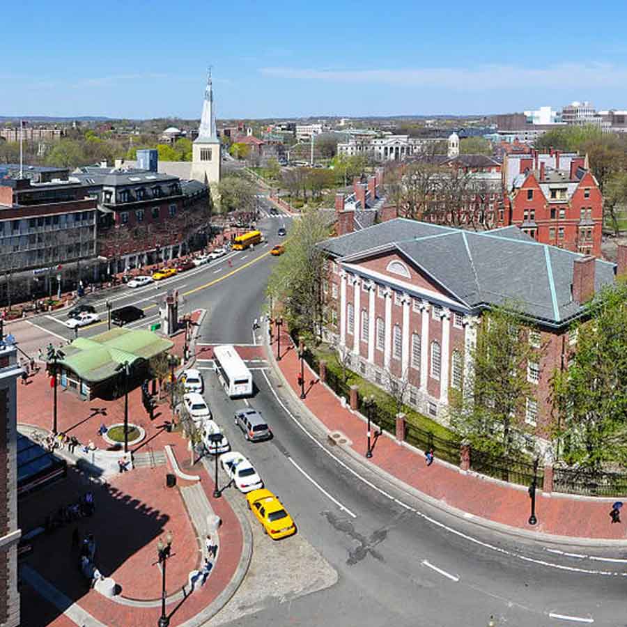 harvard university