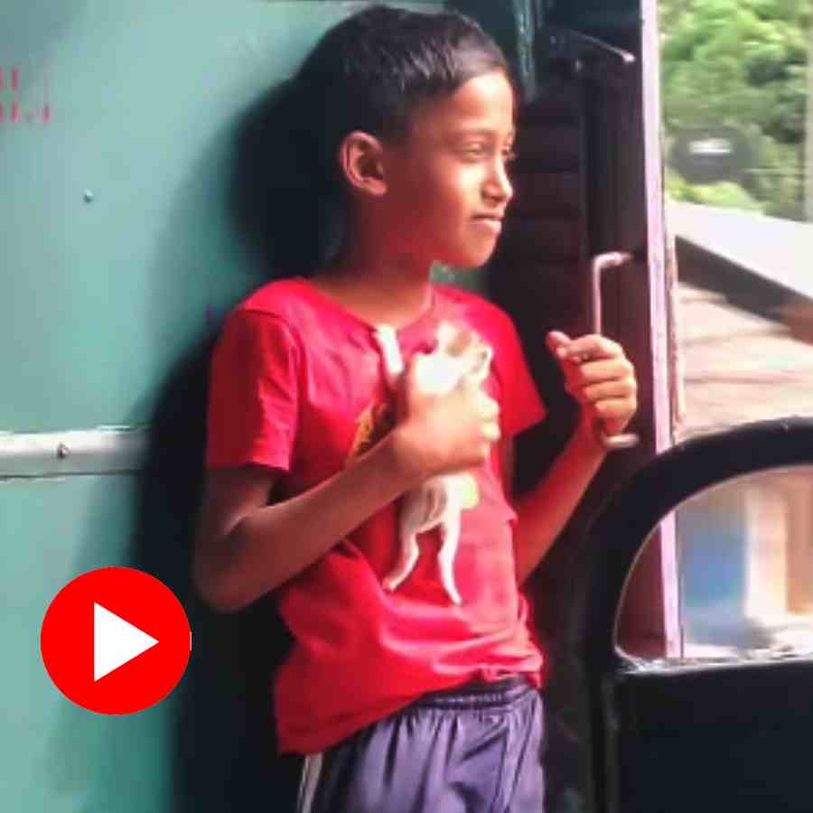 নাবালকের বুকের মাঝে জাপটে ধরা ‘মা ষষ্ঠীর বাহন’, দু’জনে ট্রেনে চেপে চলল ‘স্বপ্ন সফরে’! ভাইরাল ভিডিয়ো