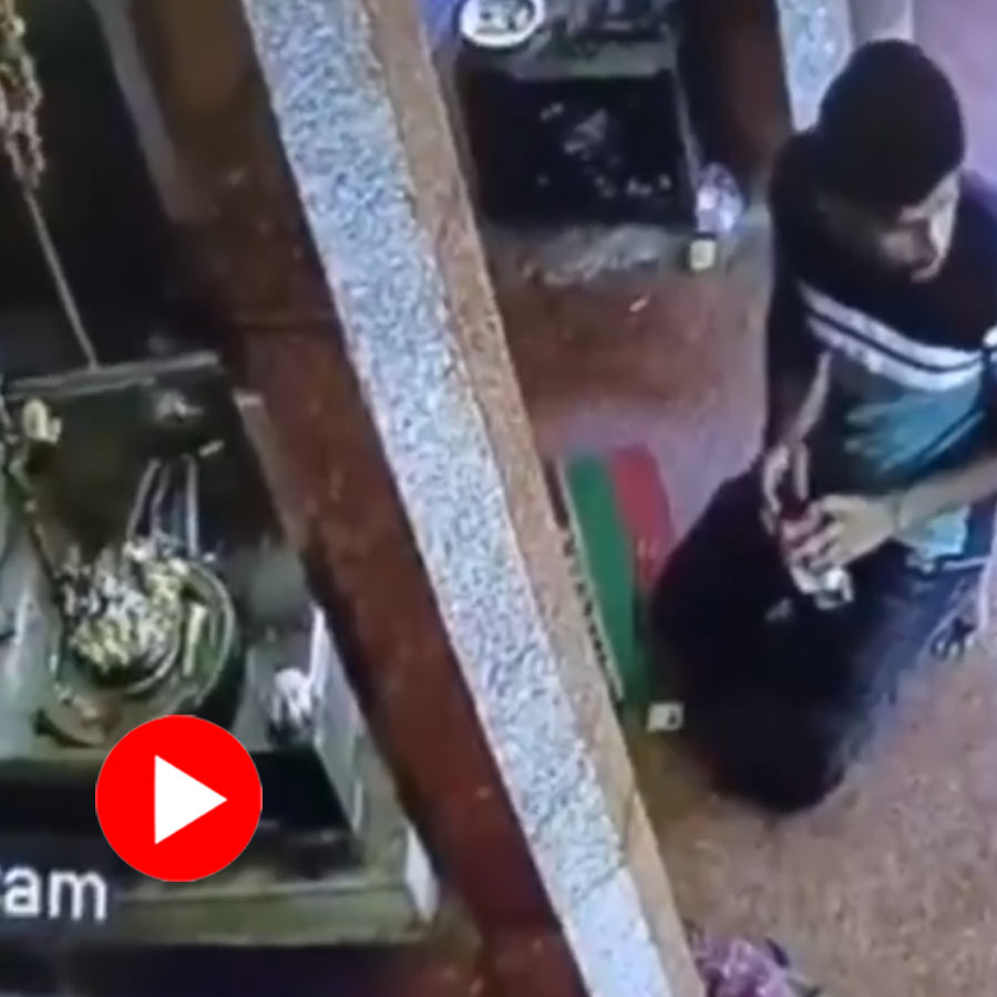 man was seen stealing a Shesh Nag idol