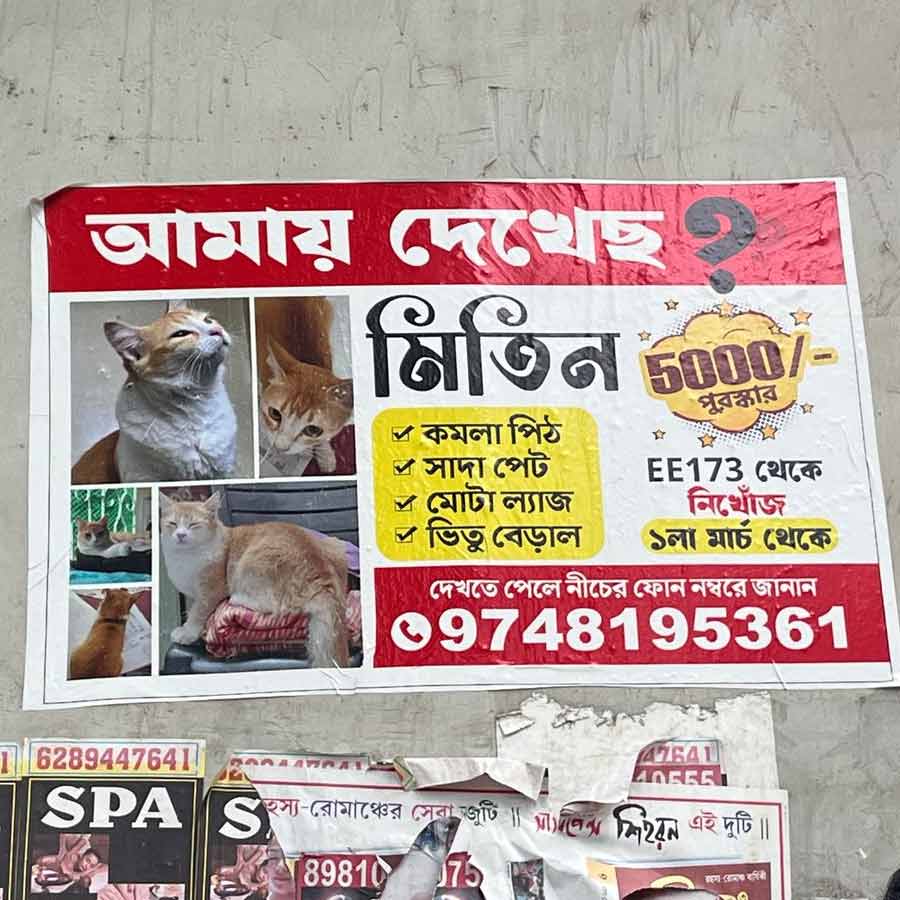 ‘মিতিন’-এর খোঁজে পোস্টার দিয়েছেন দীপক রায়চৌধুরী।