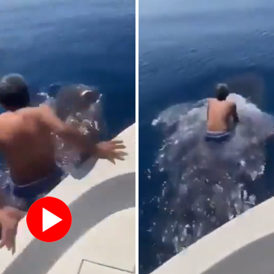 a man diving into the ocean and riding on the back of a whale shark