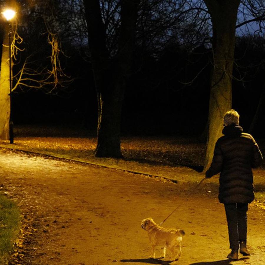 dog walking