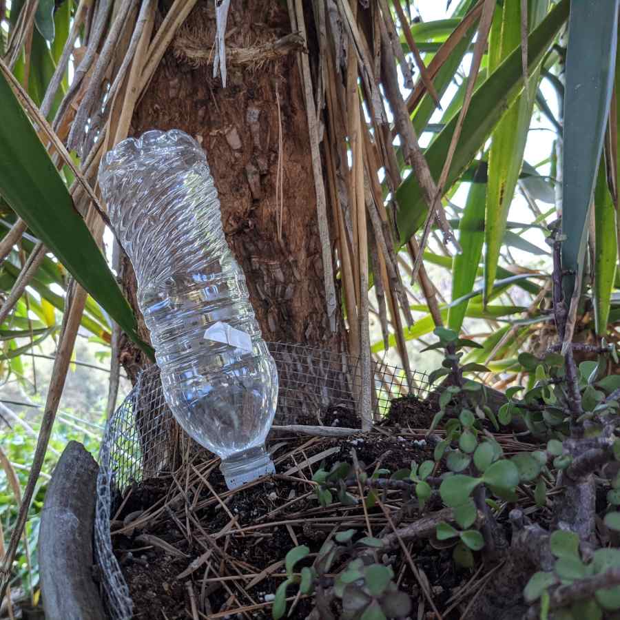 How to take care of plants while you are away from home on vacation