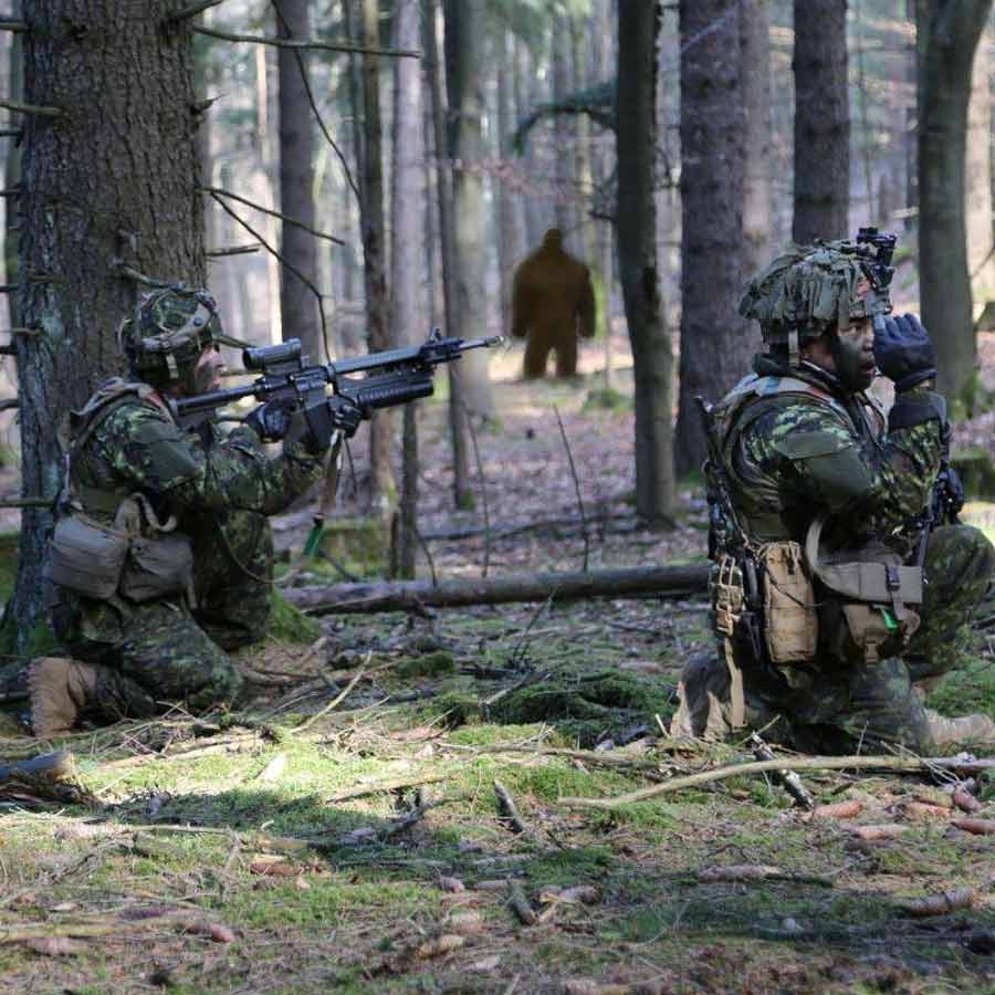 Canadian Armed Forces faces various challenges amid US President Donald Trumps aggressive move