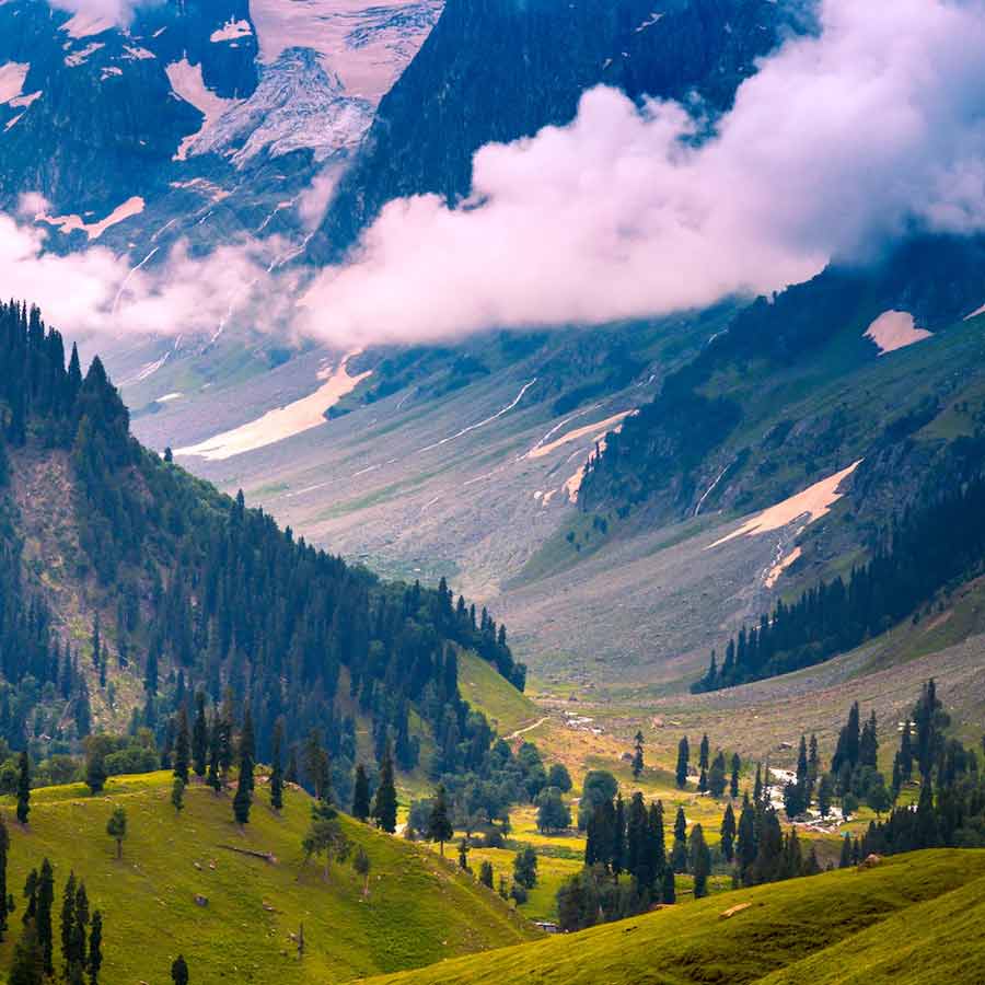 Pahalgam terror attack