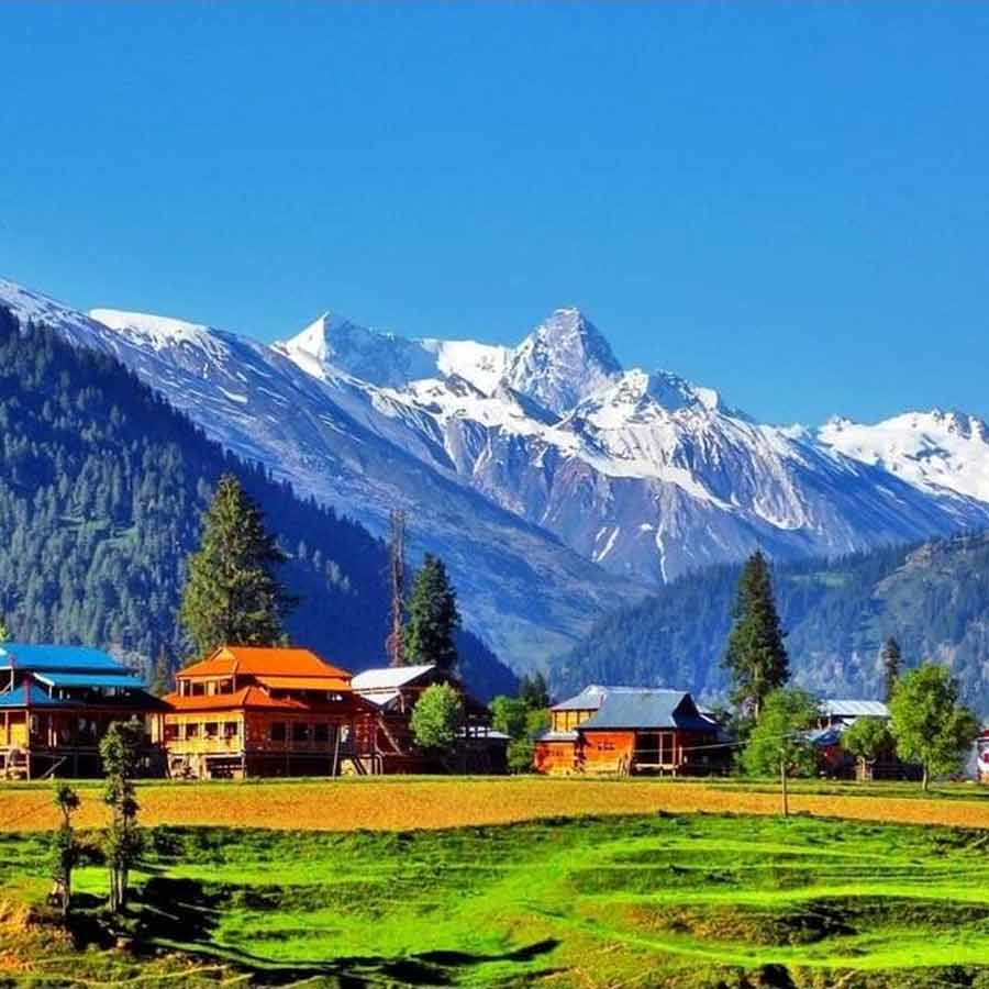 Pahalgam terror attack
