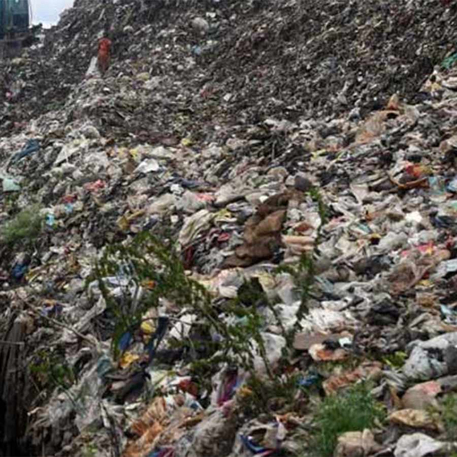 —প্রতীকী চিত্র।