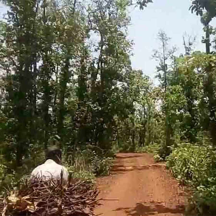 —প্রতিনিধিত্বমূলক ছবি।