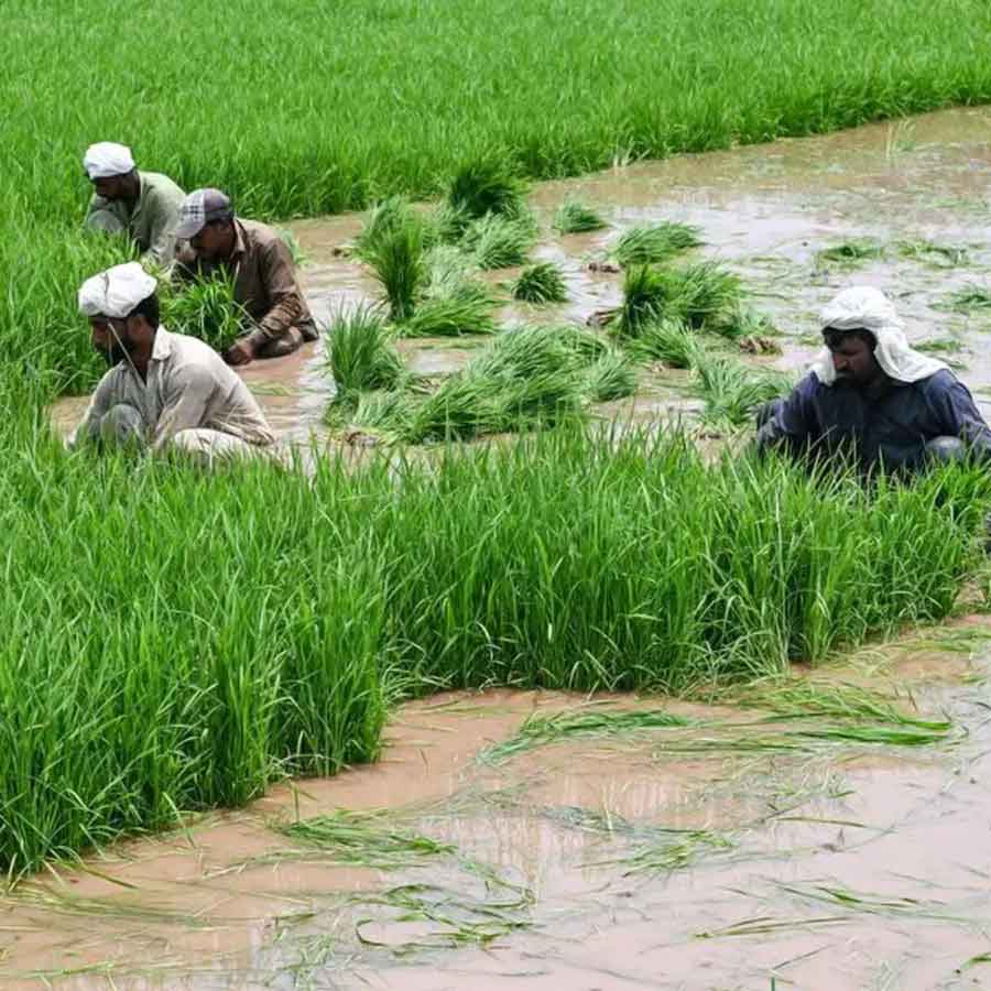 India will use hydroelectric projects to stop flow of Indus water to Pakistan