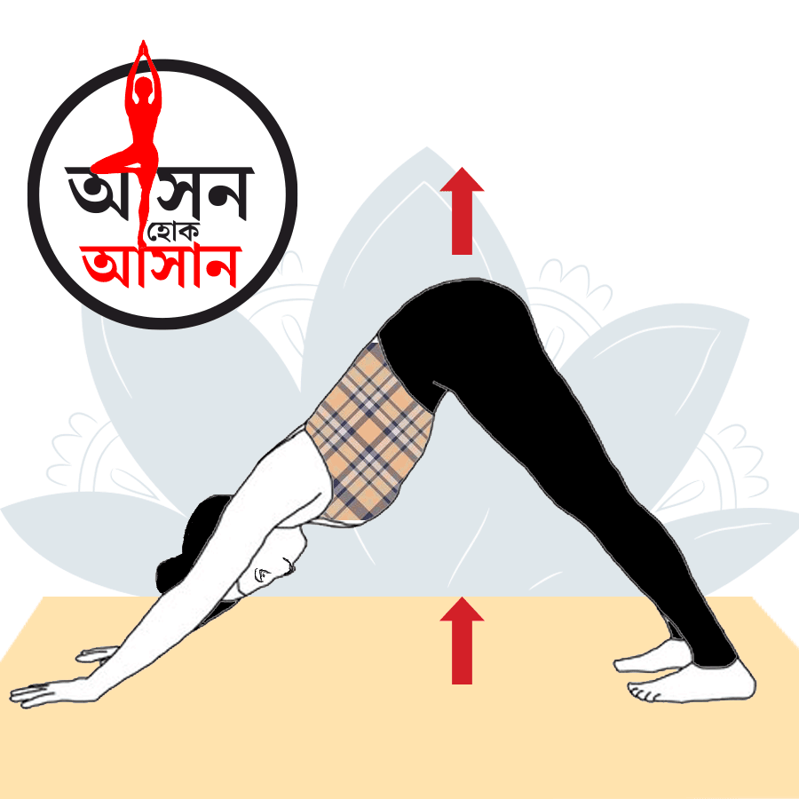 How to do Adho Mukha Svanasana and what are the health benefits of it