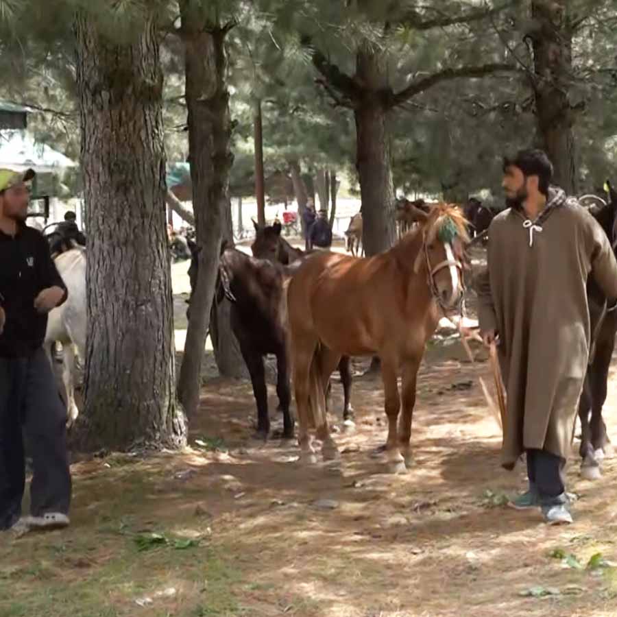 Pahalgam ponywallahs struggle as tourists avoid visiting the Anantnag town after terror attack dgtl