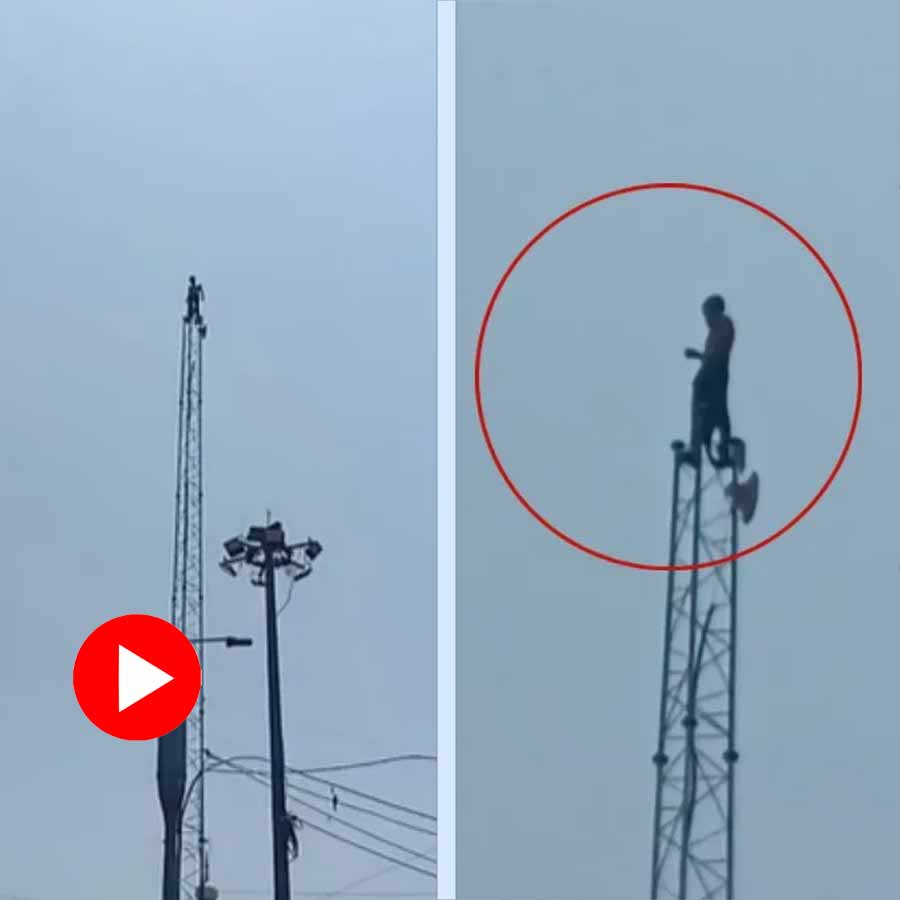 Video of drunken man climb mobile tower, police rescued him later