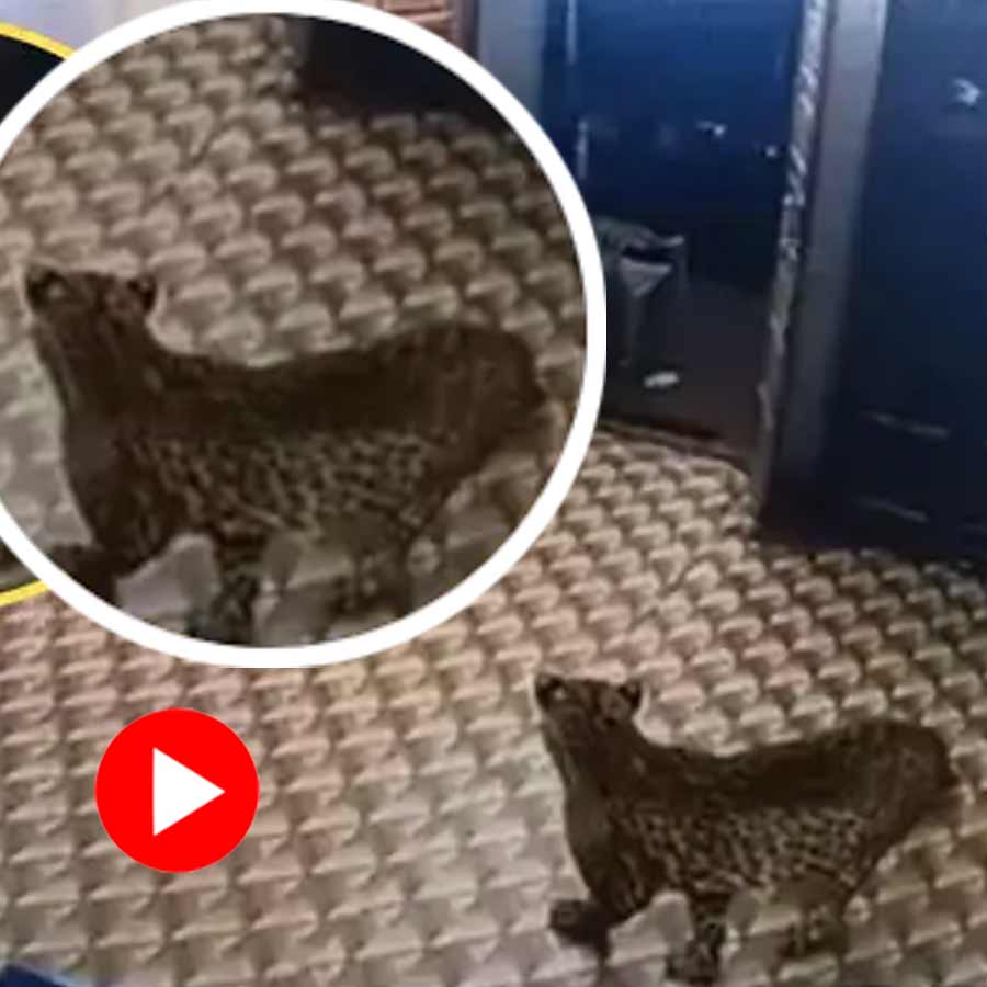 leopard enter a police station in Tamilnadu