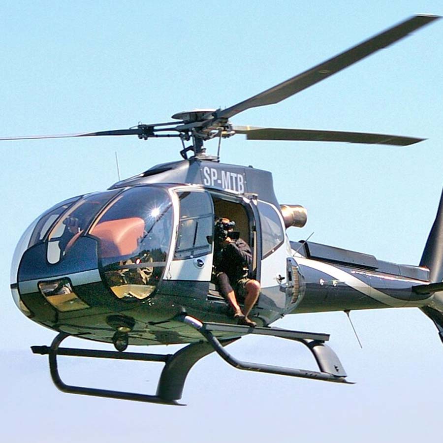 Australian koalas shot dead 