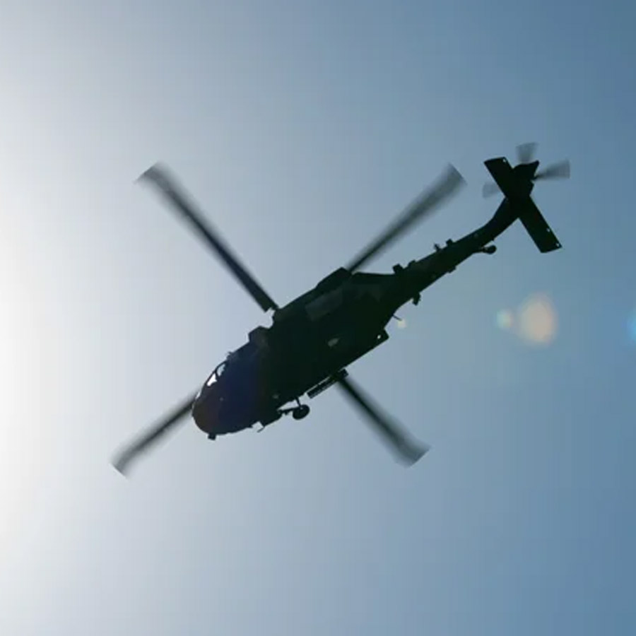 Australian koalas shot dead 