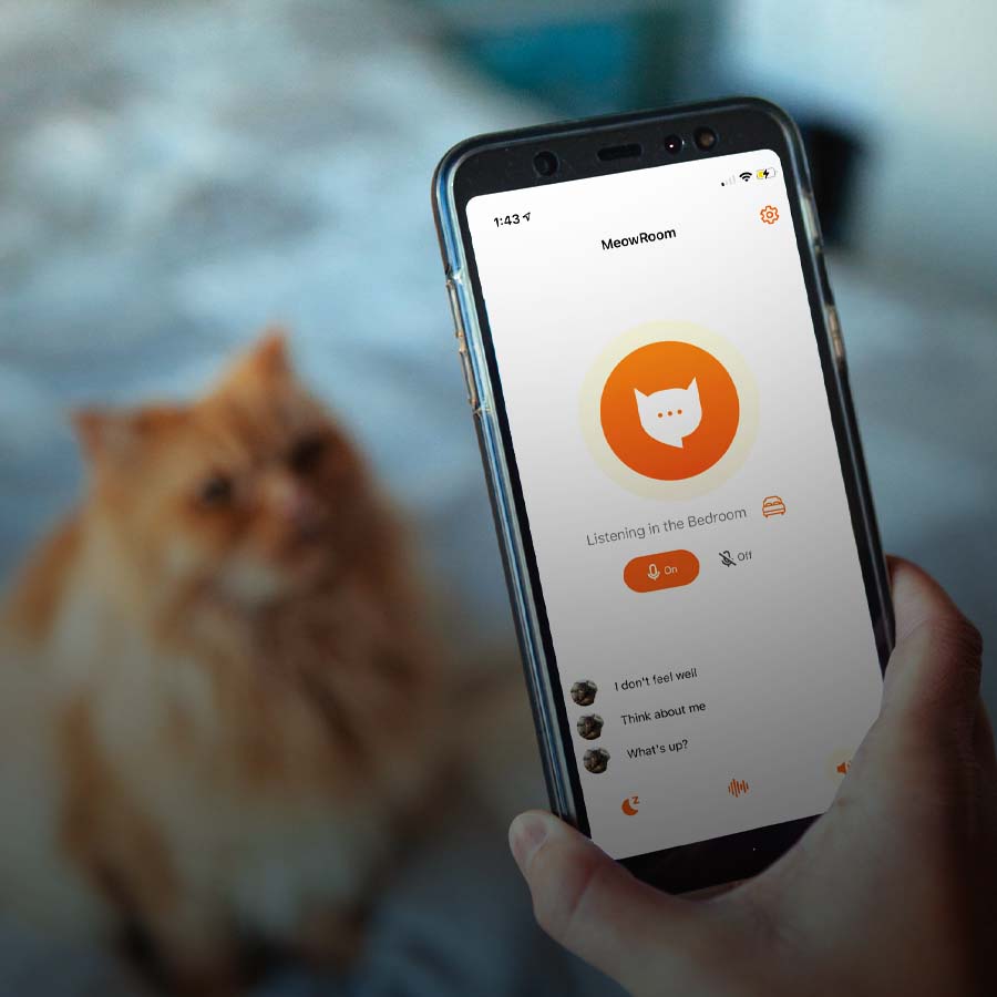 Meow talk aims to translate cat meows into human-understandable phrases using AI and machine learning dgtl