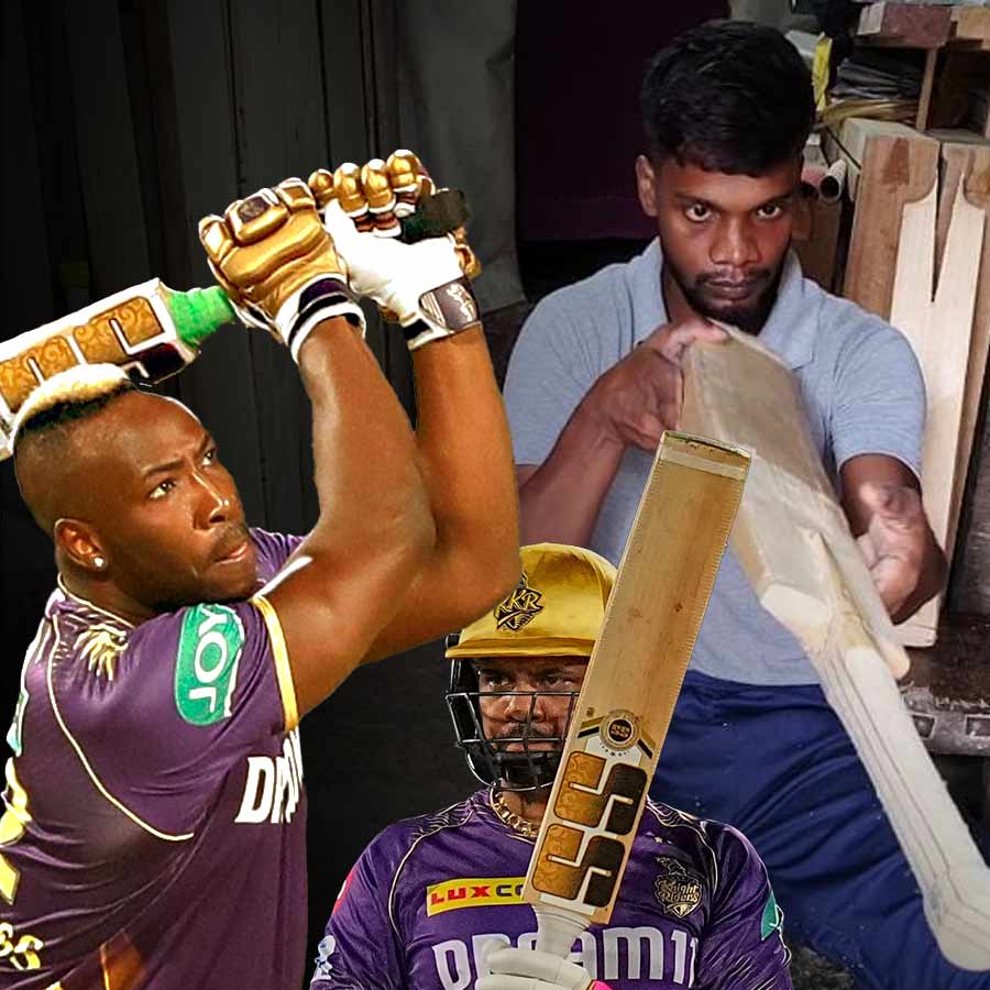 cricket