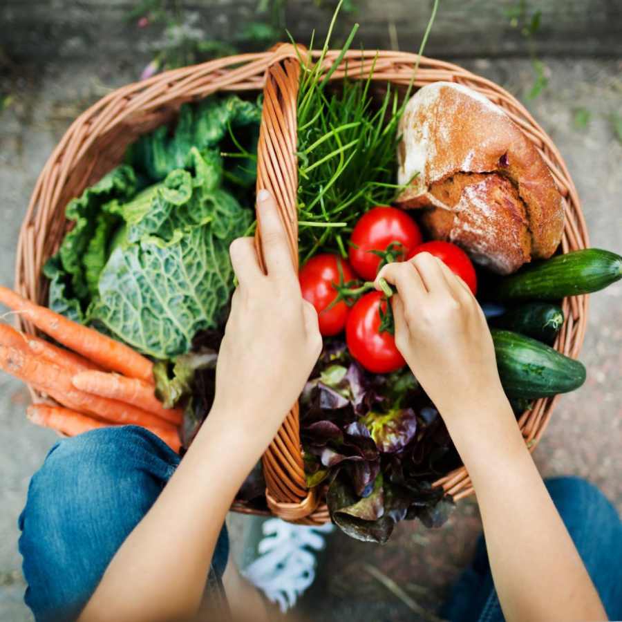 A Harvard Professor shares diet, that can reduce Cancer Risk dgtl