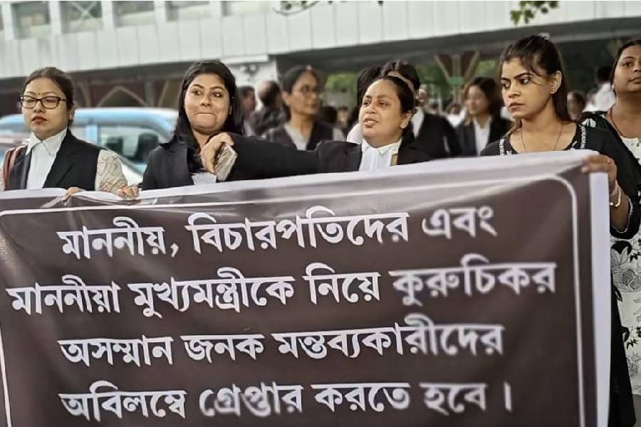 হাই কোর্টে তৃণমূলপন্থী আইনজীবীদের মিছিল।