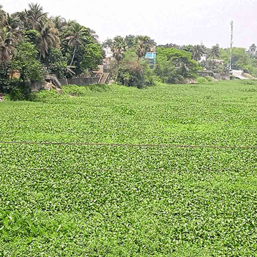 North 24 Parganas Zilla Parishad team alongwith Administrative Officials of Bongaon Sub-Division visited the flood affected areas dgtl