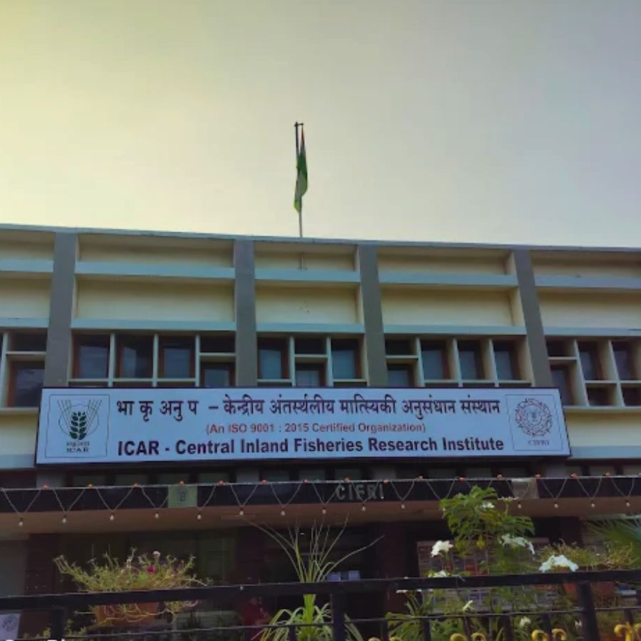 Central Inland Fisheries Research Institute.