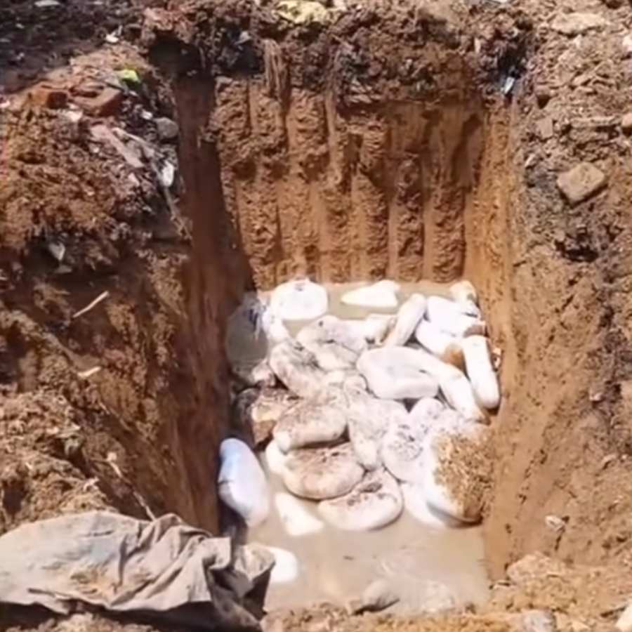 চলছে ভেজাল পনির মাটিচাপা দেওয়ার কাজ।