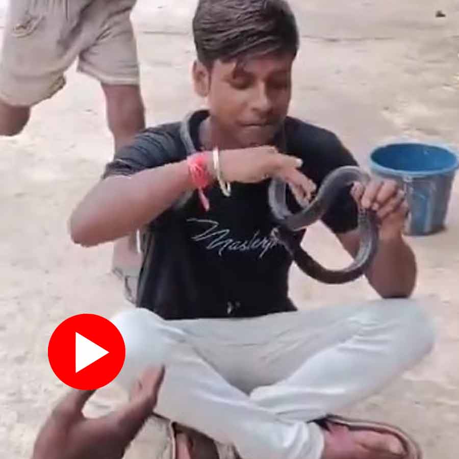 Video shows man making reel with snake, it bites him
