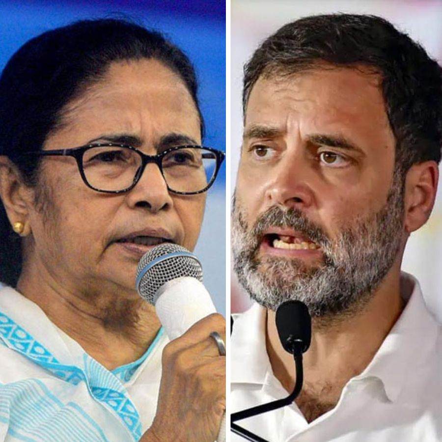 Mamata Banerjee and Rahul Gandhi