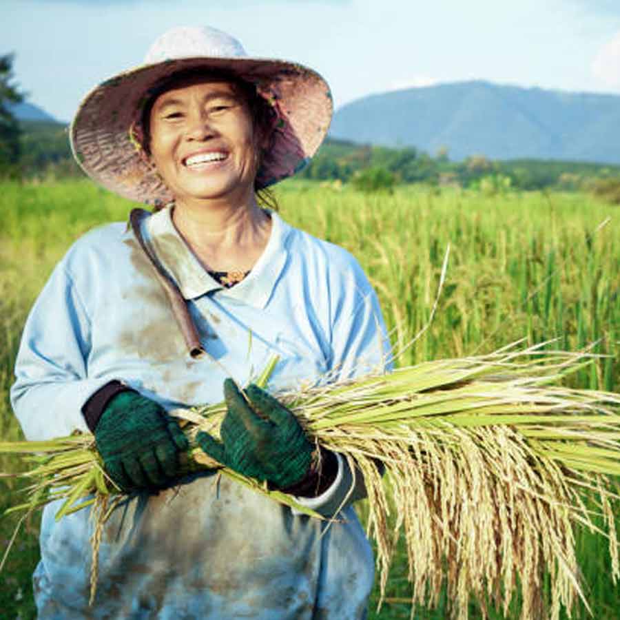 Thailand's Revenue Source