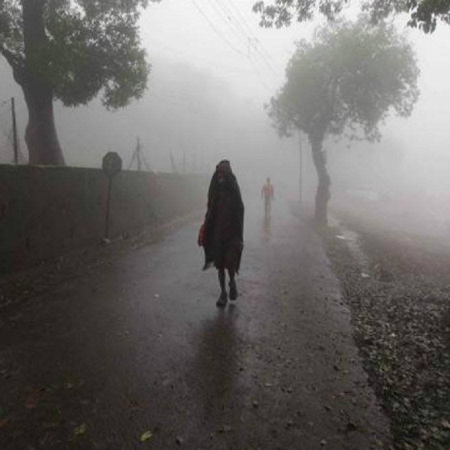 Tourists from murshidabad trapped in north  bengal